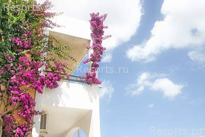 Hotel Vanessa 24